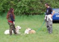 /album/tradicni-moravske-setkani-pasteveckych-psu-prerov-26-4-2014/a1-jpg5/